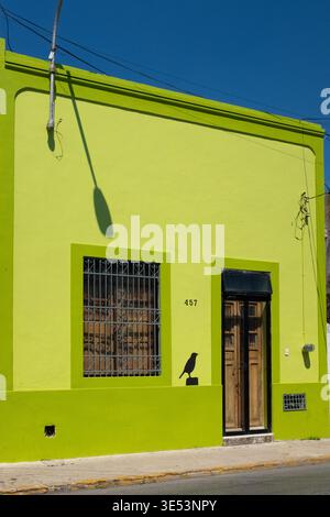 A vivid lime-green building facade with barred windows, a wooden door and a small bird silhouette in Centro Histórico, Mérida, Yucatán, Mexico. Stock Photo