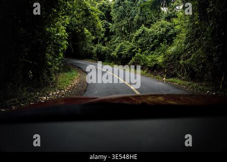 Entering a New World Through a Jungle Road from the Driver’s Perspective Stock Photo