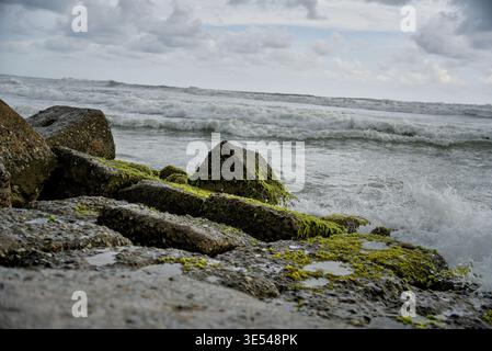 Splashing Waves on Rocky Shoreline Covered with Vibrant Green Algae Stock Photo