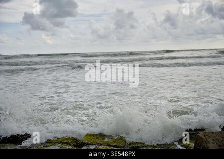 White Foam Waves Breaking Over Mossy Rocks at the Shoreline Stock Photo