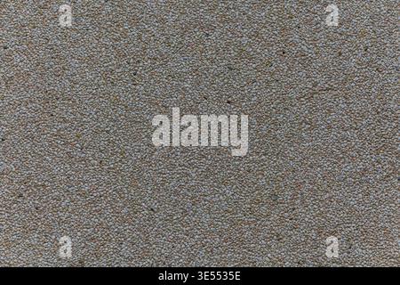 Close up of small light pebbles embedded in surface creating a uniform granular texture. Stock Photo
