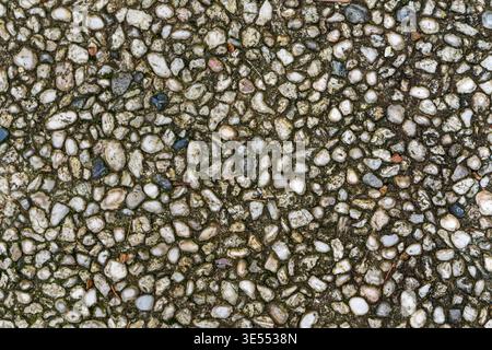 Close up of light pebbles embedded in concrete with dark joints and moss traces. Stock Photo