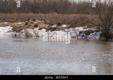 Melting snow revealing brown river grasses, meandering bank with shallow pools, scattered bushes and warm sunlight casting glitter across surface, qui Stock Photo