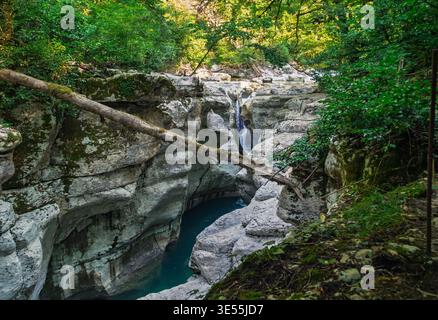 Moss-covered tree spanning a stunning rock gorge with turquoise water and dense green forest in the daylight Stock Photo