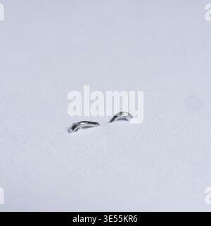 the metal staple that binds the sheets isolated on a white surface Stock Photo