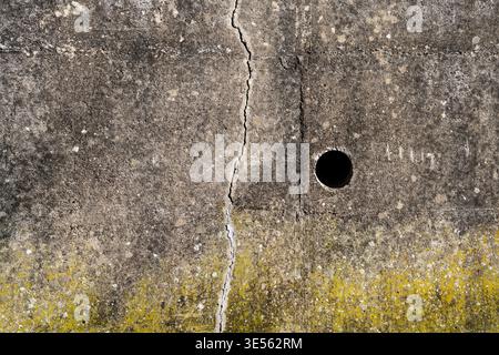 Old concrete wall with cracks, structures and green moss Stock Photo