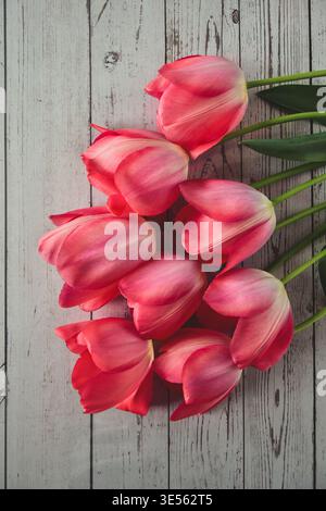 Pink tulips on wooden background Stock Photo