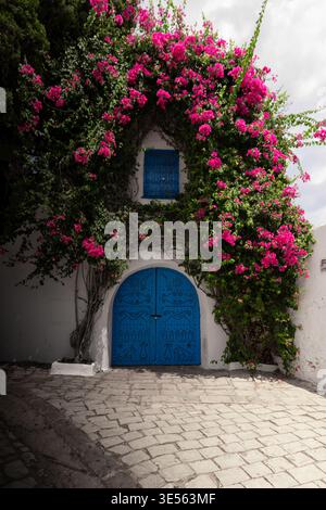 View of a traditional blue arched door and window framed by vibrant pink bougainvillea flowers on a white wall in Tunis, Tunis Governorate, Tunisia. Stock Photo