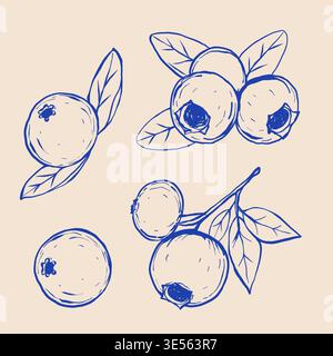 Blueberry and lingonberry. Black line sketch collection of fruits and berries isolated on white background. Doodle hand drawn fruits. Vector Stock Vector
