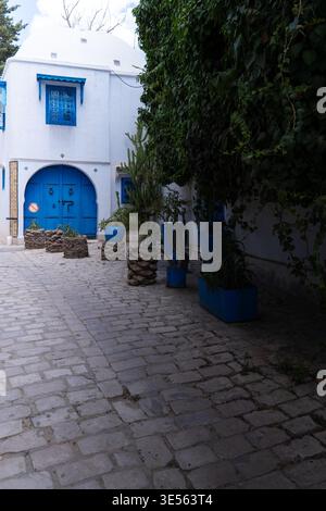 View of a traditional white-washed building with a vibrant blue arched door and window shutters along a cobblestone alley with lush greenery and potte Stock Photo