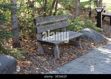 rustic wooden plank bench between boulders in shade beside paved path in autumn (seasonal) Stock Photo