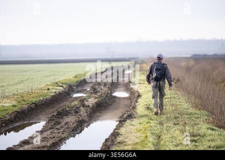 Hiker with a backpack walks alone along a muddy dirt road beside frosty fields, evoking solitude, exploration and outdoor adventure on a quiet, overca Stock Photo