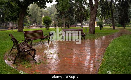 Empty Benches in City Park After Rain Stock Photo