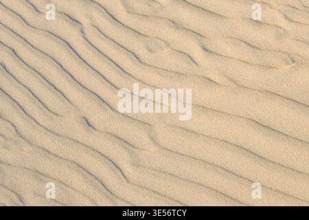 Wind-sculpted ripples in golden beach sand with soft shadows and natural textured pattern close view Stock Photo