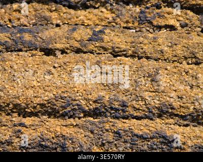 Detailed close up of millstone grit in Yorkshire UK with rugged layers and earthy tones, ideal as a natural geology background Stock Photo