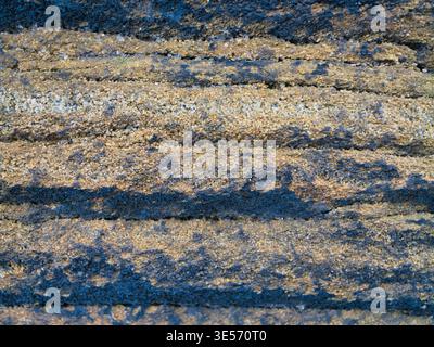 Close up of layered millstone grit in Yorkshire UK with coarse grain and earthy tones creating a rugged natural texture background Stock Photo