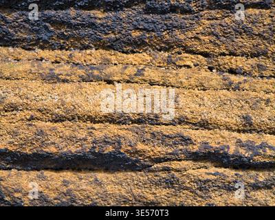 Detailed close up of millstone grit in Yorkshire UK with rugged layered texture and warm natural light, ideal as a geology or background image Stock Photo