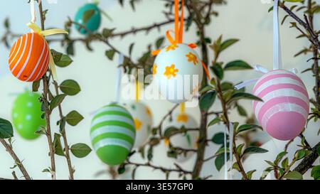 Easter eggs hanging from privet branch indoor display Stock Photo