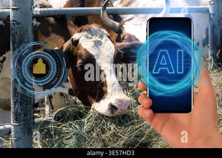 Farmer uses Artificial Intellingence for data analizing and herd management. Smart farming concept Stock Photo