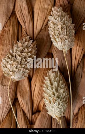 Close-up of dried plants arranged on a woven wicker basket, showcasing the intricate texture of the water hyacinth material and the natural beauty of Stock Photo