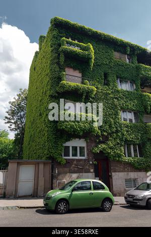 Old apartment building completely covered in green ivy with parked green car Stock Photo