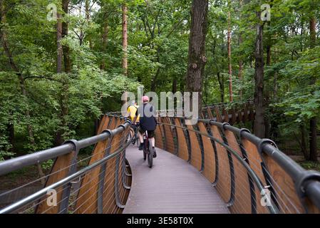 Bicyclists on curved wooden path in the woods Stock Photo