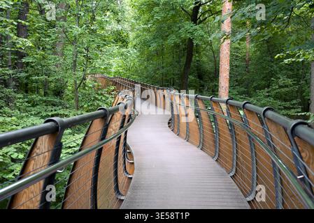 Wooden path in the forest Stock Photo