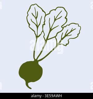 Hand drawn vector graphic of small radish with leafy top. This simple line art vegetable illustration works perfectly for organic food packaging and Stock Vector