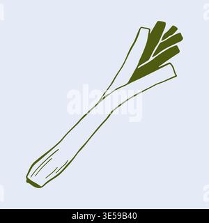 Hand drawn vector illustration of a long green leek with organic leaf texture. Minimalist line art icon of a healthy vegetable for farm market Stock Vector