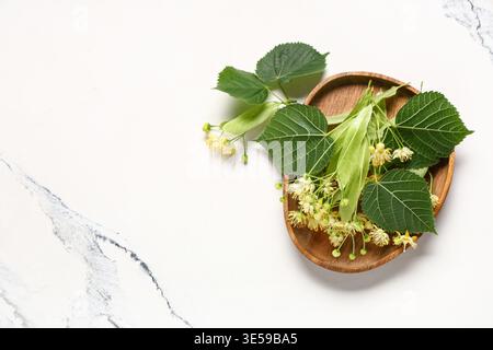 Wooden tray with fresh linden flowers and leaves on white background Stock Photo