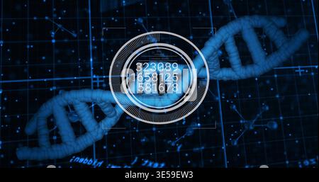 Rotating blue DNA double helix glowing in virtual laboratory, showing circular HUD numeric readout Stock Photo