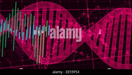 Displaying magenta double helix DNA graphic spanning dark grid interface, showing candlestick chart Stock Photo
