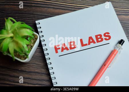 Concept of fab labs write on book isolated on Wooden Table. For fabrication laboratory manufacturing and innovation Stock Photo