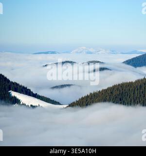 Mountain landscape with rolling hills covered in dense pine forests. Valleys filled with thick layer of mist, creating serene atmosphere. Snow-capped peaks rise in distance under clear blue sky. Stock Photo