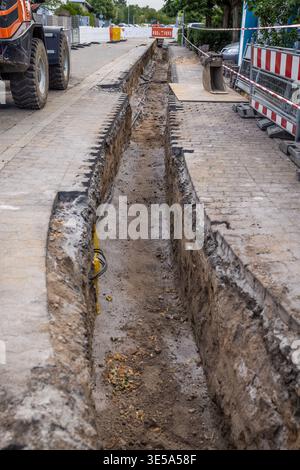 Gallery image with a fresh perspective