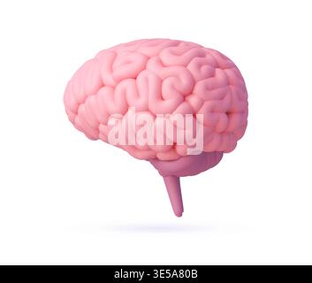 3d human brain rendered on clean white background Stock Vector