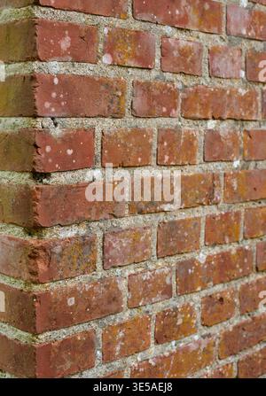 Brick wall, fungus and cement with mold on concrete building structure of damage or old exterior. Empty, space and construction with weathered Stock Photo