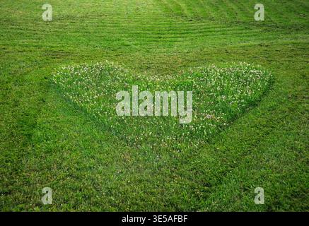 Green grass field mowed in heart shape. Garden lawn background with heart-shaped area. Love symbol textured surface Stock Photo
