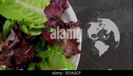 Displaying white ceramic bowl with green, red leaf lettuce on dark slate surface, halftone globe Stock Photo