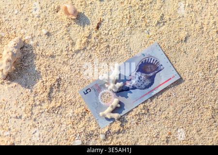 Maldivian Five-dollar bill rests on sandy beach, partially covered by small white coral fragments and scattered seashells. Sunlight highlights the tex Stock Photo
