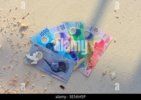 Maldivian currency notes rest on sandy beach, decorated with sea creatures. Sea stars and shells lie atop colorful banknotes. Scene suggests vacation, Stock Photo