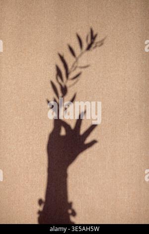 Shadow of hand holding olive branch on textured beige wall. Symbolizes peace, hope, or reconciliation. Ideal for themes of harmony, forgiveness, or co Stock Photo