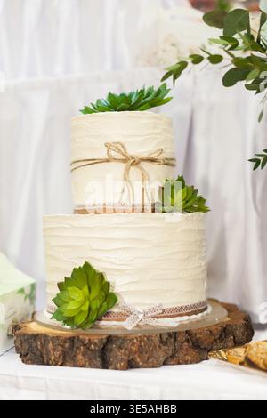 A two-tier white wedding cake in rustic style, decorated with green succulents, jute twine and lace ribbon, set on a natural wood slice cake stand.  C Stock Photo