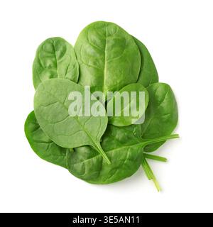 Top view of fresh spinach leaves isolated on white Stock Photo