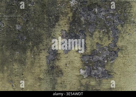 Close up of an old concrete wall with peeling layers, cracks, and stains. Stock Photo