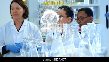 Working four researchers inspecting flasks in lab, with lab coats, blue gloves, hologram Stock Photo