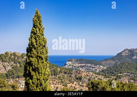 Cypress tree in a sea view and a mountain landscape from a high angle view Stock Photo