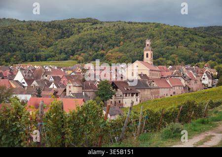 Vineyard scene in France featuring lush grapevines, a charming village with red-roofed houses, and rolling hills beneath a cloudy sky Stock Photo