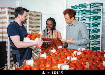 Fresh tomatoes delivery with agricultural workers discussing quality Stock Photo