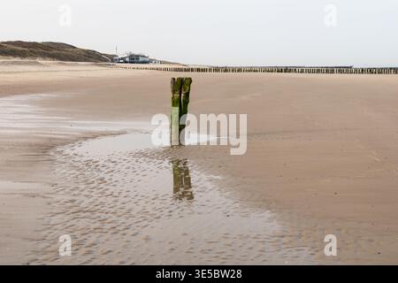 Single wooden post standing in wet sand at low tide on a quiet beach, with reflection and soft tones in a minimal coastal landscape. Stock Photo